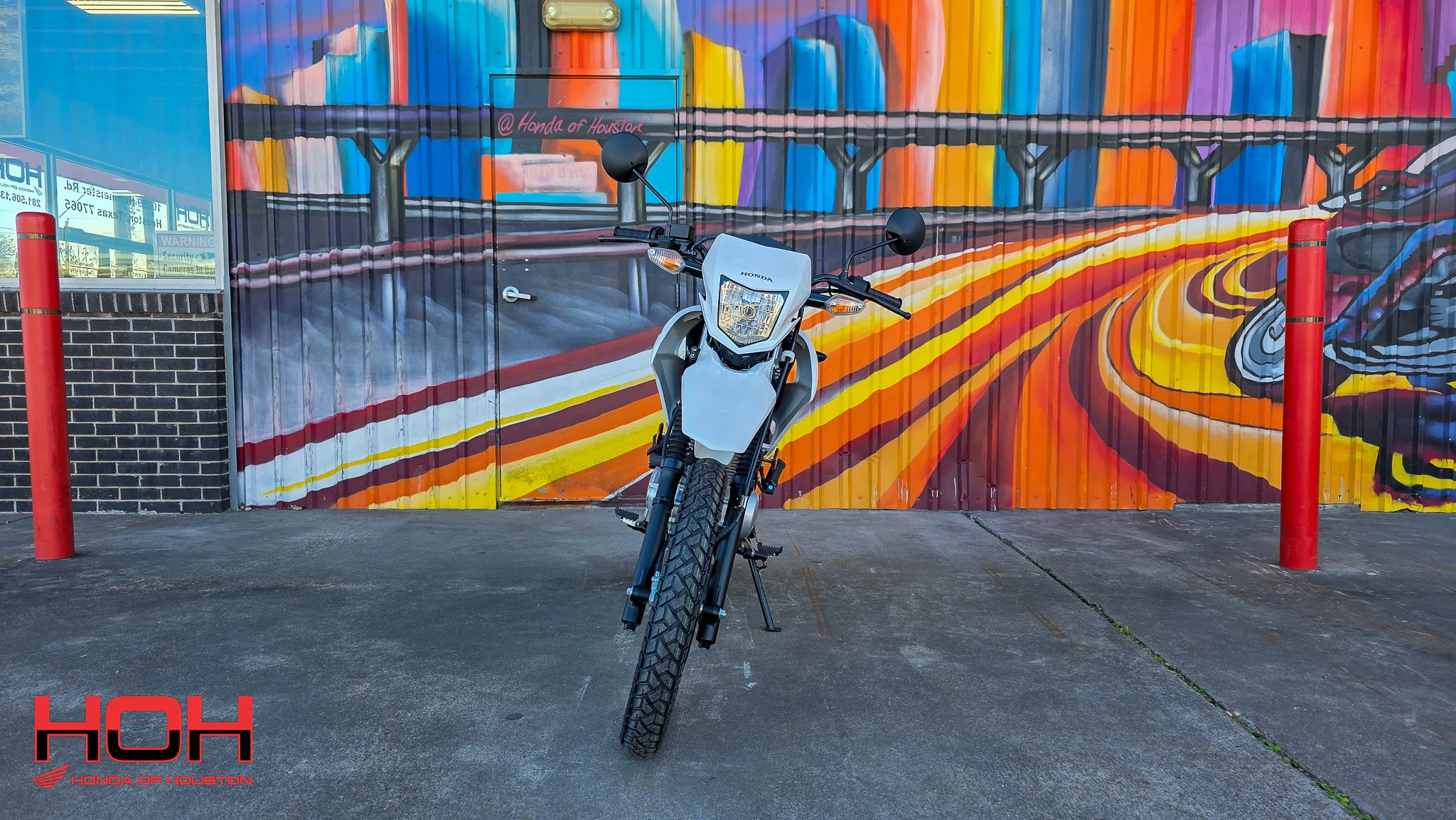 2025 HONDA XR150L in WHITE - view 7