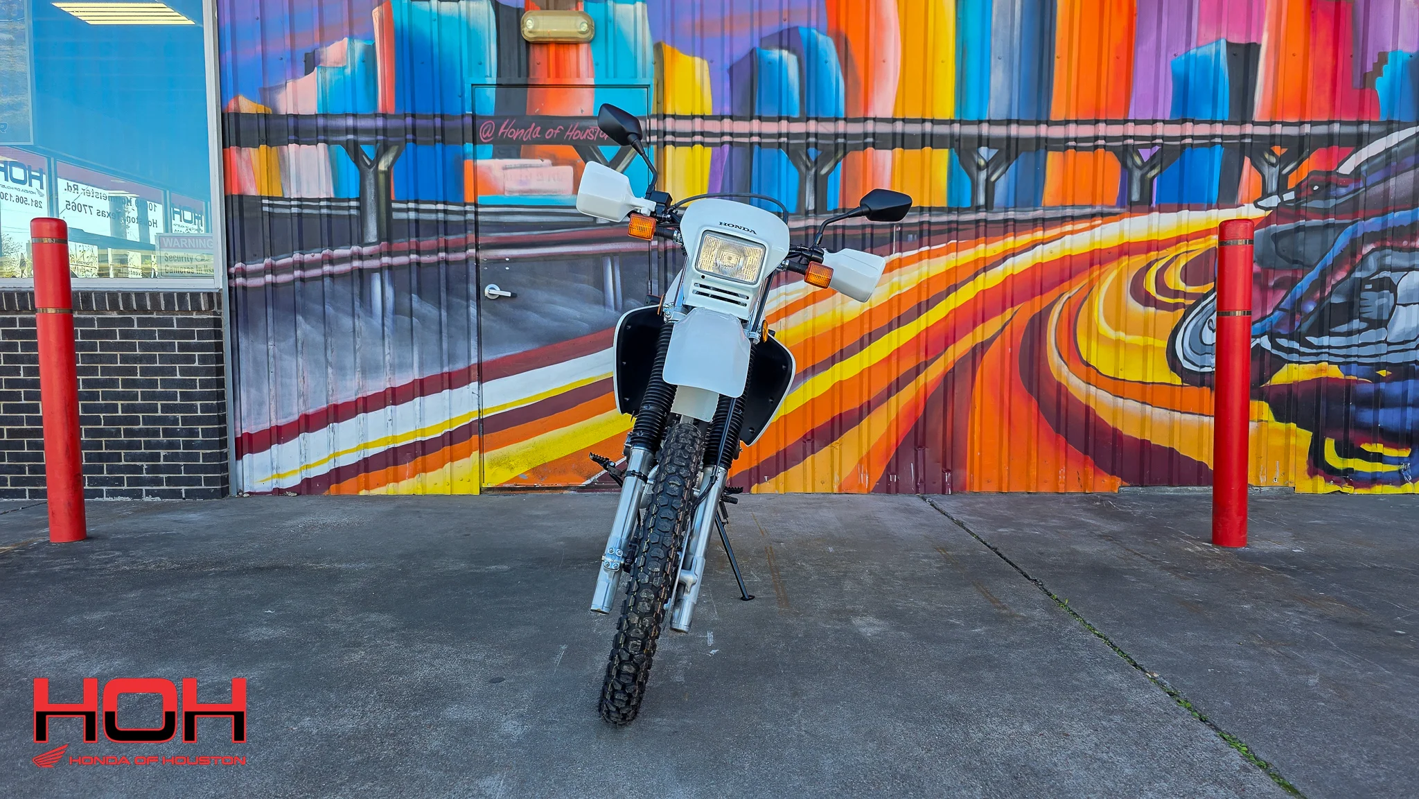 2025 HONDA XR650L in WHITE - view 7